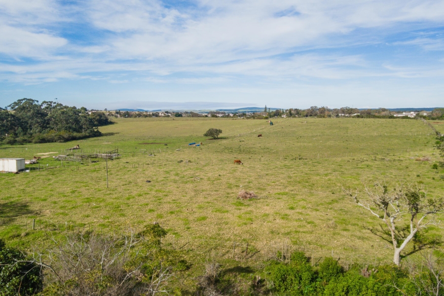 0 Bedroom Property for Sale in Alexandria Eastern Cape